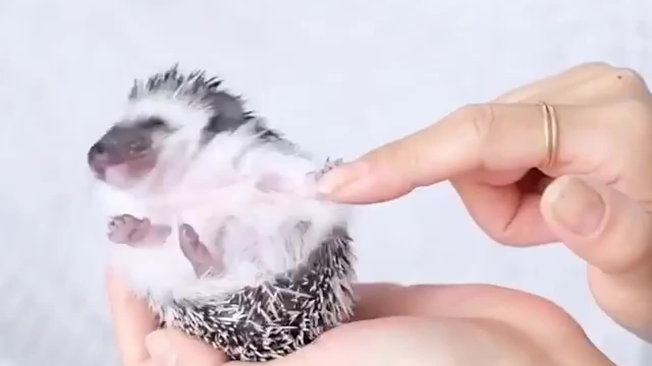 Don’t poke me I don’t like it 😊