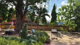 Wat Maenangpluem วัดแม่นางปลื้ม - Historic Temple Built in 1377 - Ayutthaya Thailand 2025
