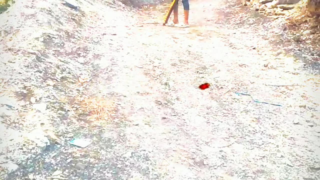 Best shots