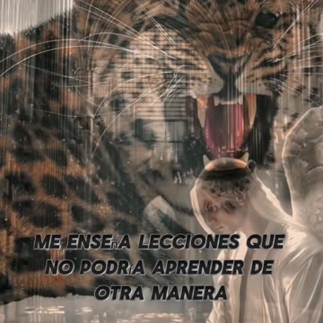 REFLEXIÓN ✨️ ✨️