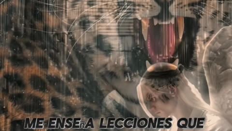 REFLEXIÓN ✨️ ✨️