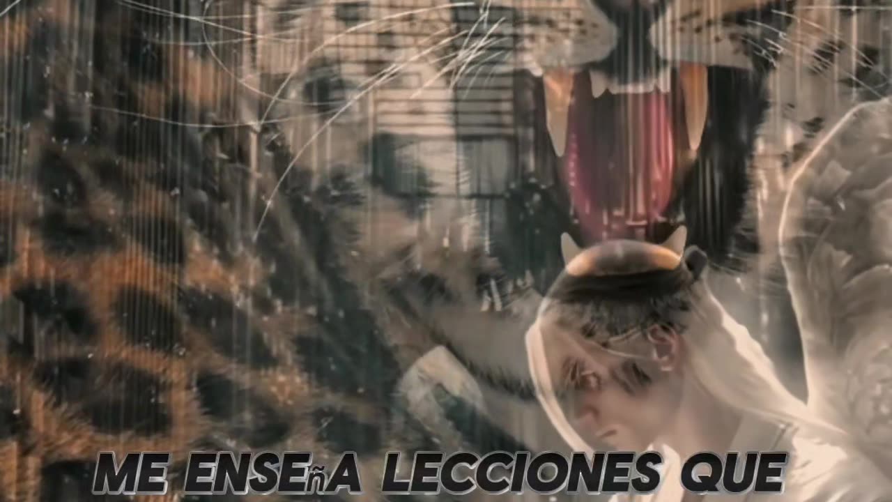REFLEXIÓN ✨️ ✨️