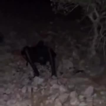 Nawaf Ghazawi, from Al-Jalazone refugee camp, was found burned to death