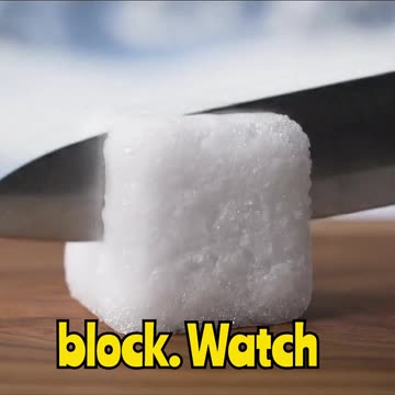 Antarctica Lives Inside Snow Block