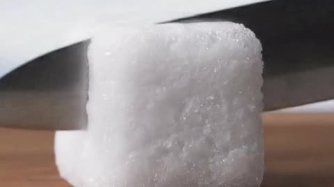 Antarctica Lives Inside Snow Block