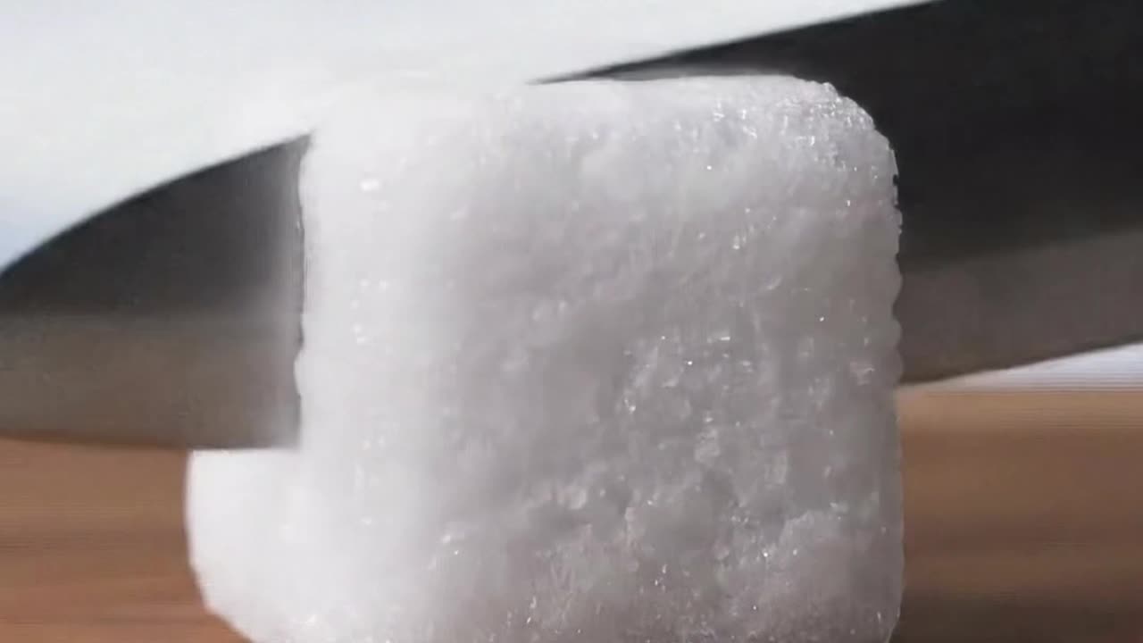 Antarctica Lives Inside Snow Block