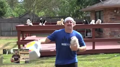 Trending: Trick Shots and Cats