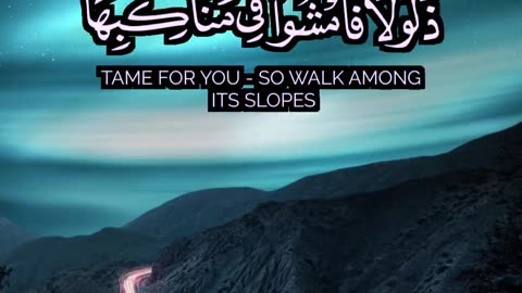 🎧 تلاوة خاشعة من سورة الملك | بشير عبد الله | Surah Al-Mulk by Bashir Abdullah 🌟
