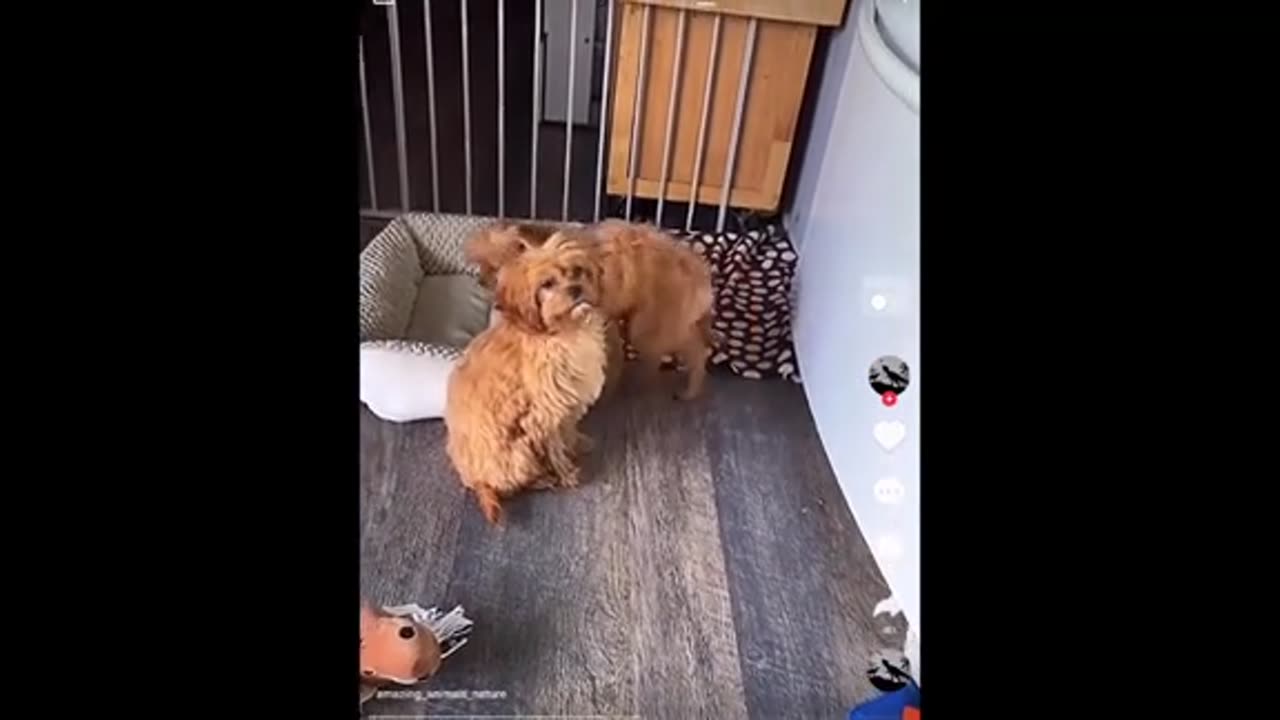 Need a laugh here and there ;)