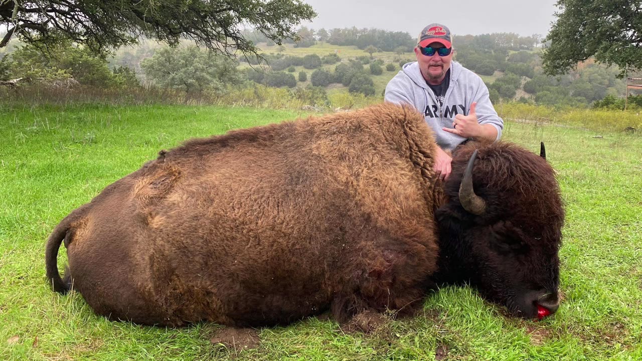 Bison Hunt • 375 Ruger • 270 Shock Hammer Bullet