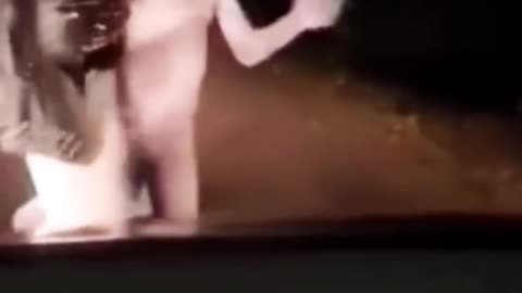 Unexpected cought on cam