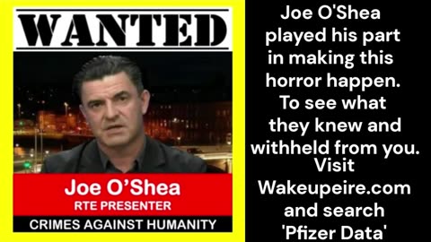 Inside the mind of a brainwashed Irish TV presenter