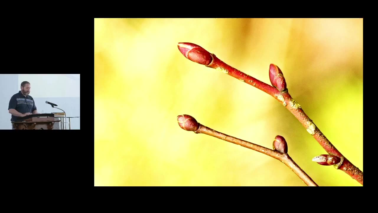 Sunday Sermon: Spring Renewal