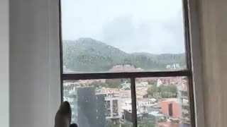 My Bedroom View In Bogota