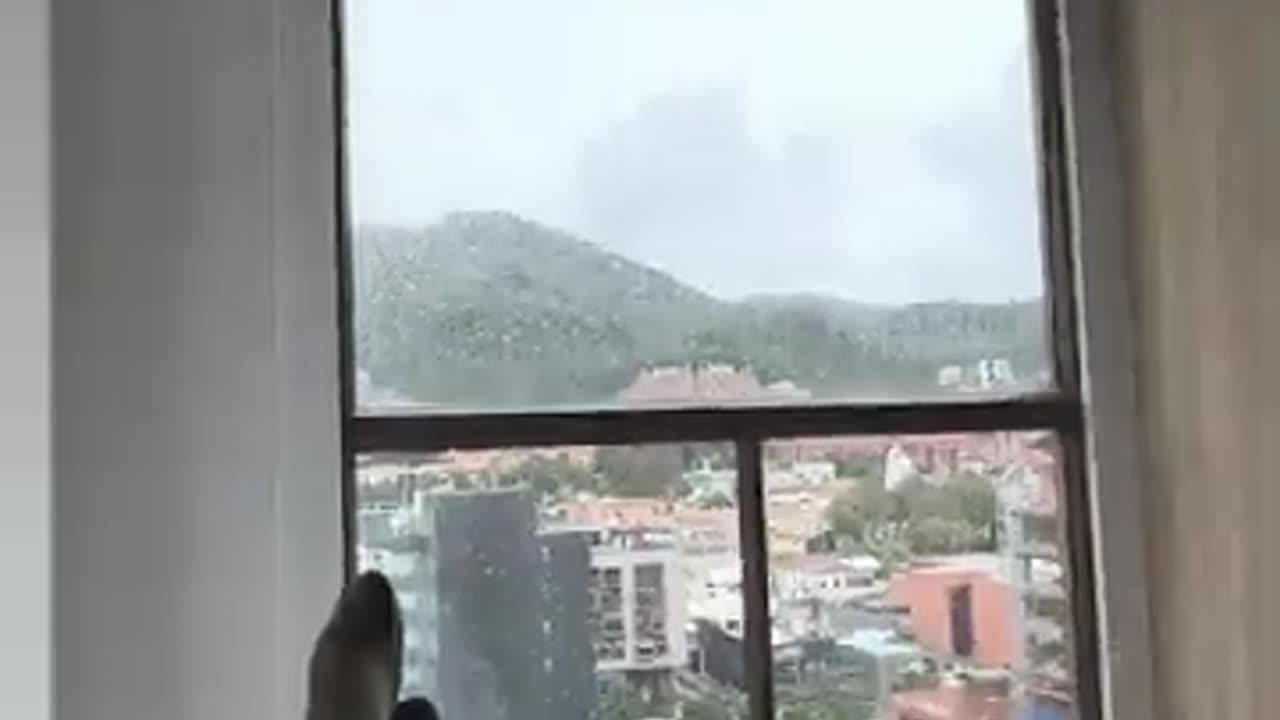 My Bedroom View In Bogota