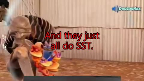 The Undying Spirit of SST on YouTube | DocLocHax Shorts