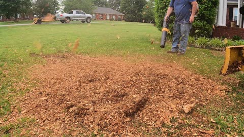 Stump Grinding a small stump in Harvest,Alabama