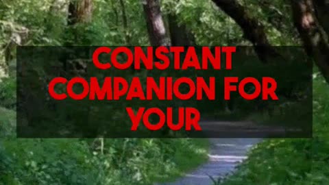 24/7 Personalized AI Mental Health Tutorials & Coping. aimentalhealthadvisor.com