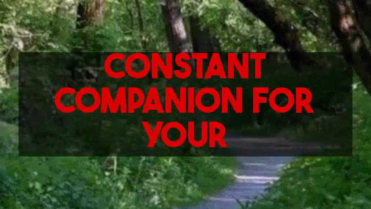 24/7 Personalized AI Mental Health Tutorials & Coping. aimentalhealthadvisor.com