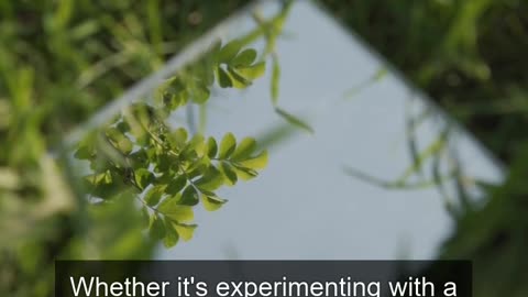 Daily Horoscope | Taurus 🌟