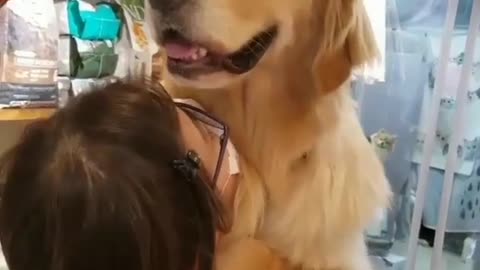 funny animals