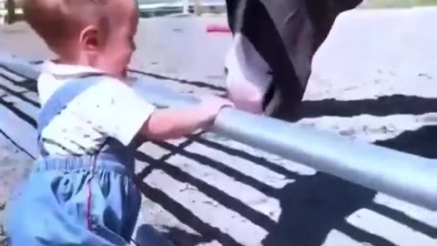 Horse love for baby