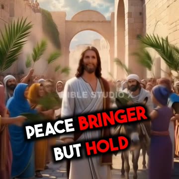 The King on a Donkey: A Journey of Faith and Expectation