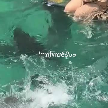 She Built a Fish Pool!