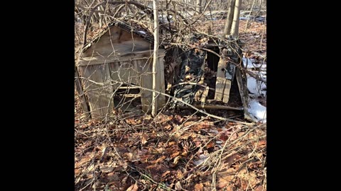 Abandoned dog houses.