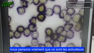 Sang synthétique avec présence de nanotechnologie à l'intérieur des globules rouges.