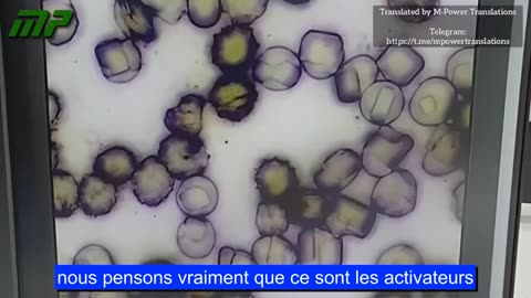 Sang synthétique avec présence de nanotechnologie à l'intérieur des globules rouges.
