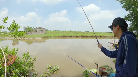Bluegill Fishing Fun in Sunlit Ponds