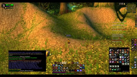 Turtle wow - Melee HC Slow and Steady Hunter - Part 59 - No commentary