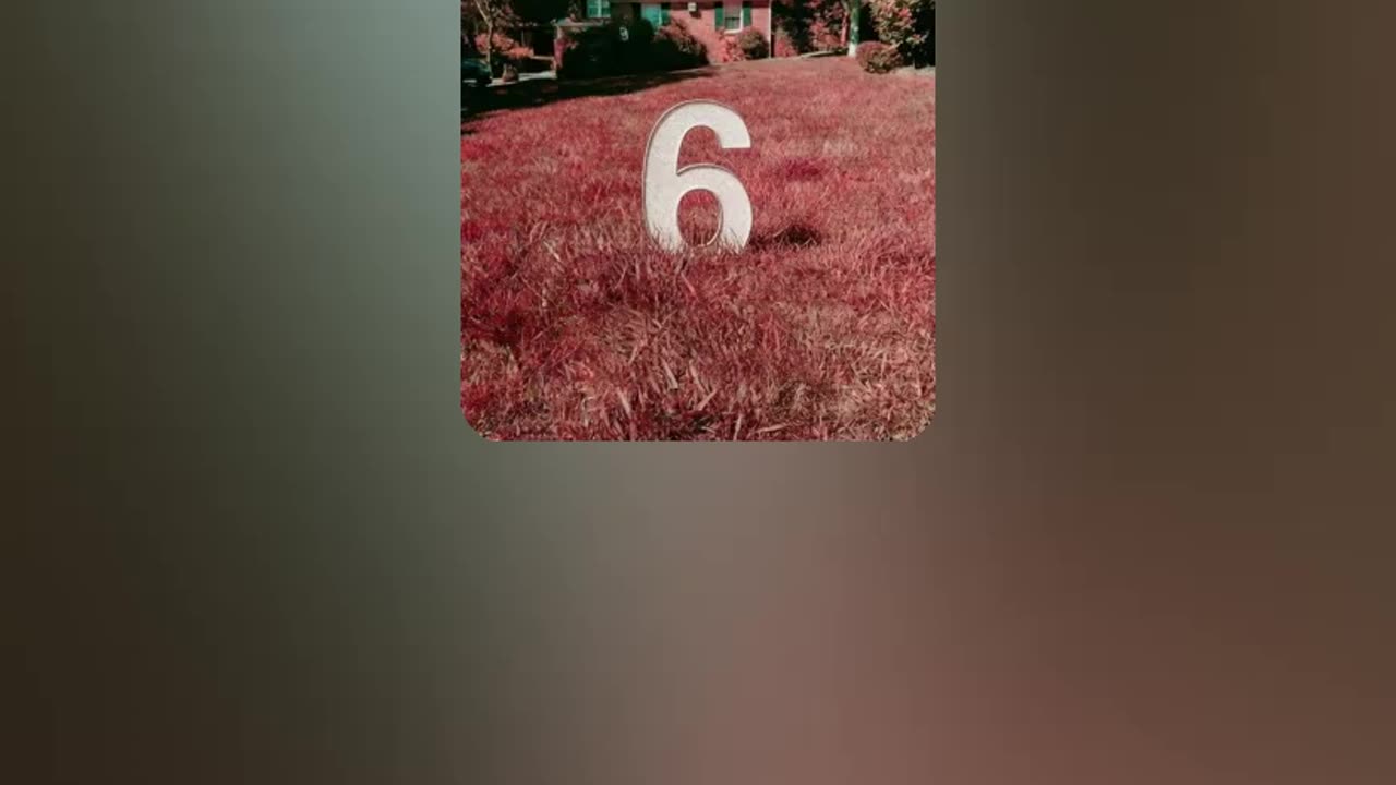 "The Red Lawn" by RedSixerFan 1/15/26