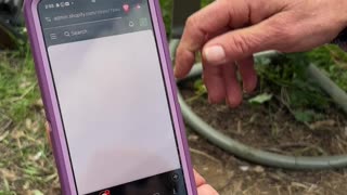 Over 45 Packages STOLEN from post office!!