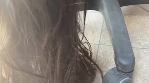 Dangling Hair Tangled In Chair Wheels