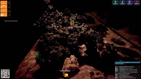 24/7 Real Live Reef Stream