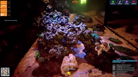 24/7 Real Live Reef Stream