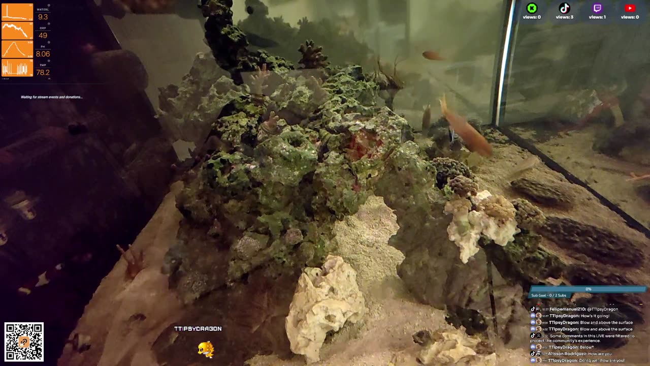 24/7 Real Live Reef Stream