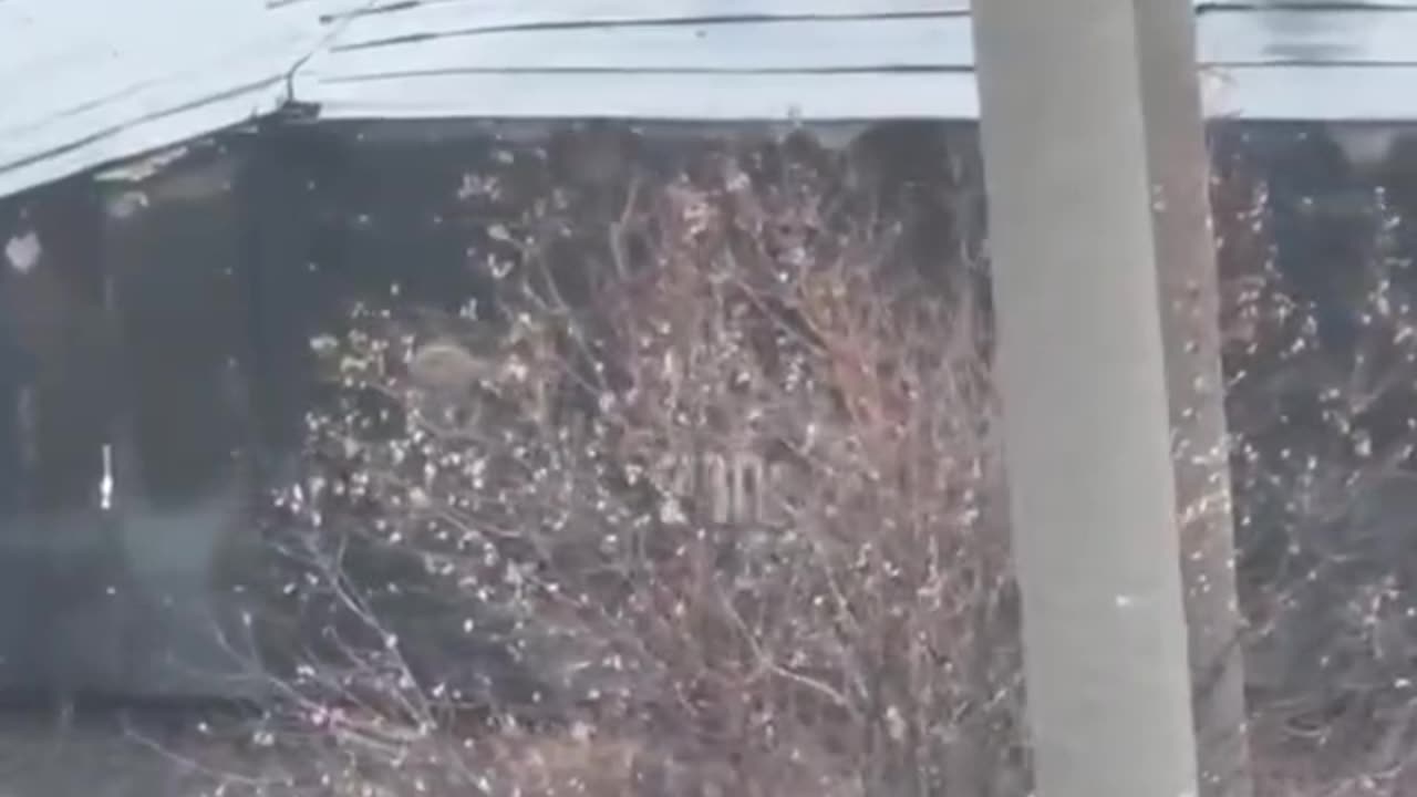 ❗️Russian battle tank in maximum protection