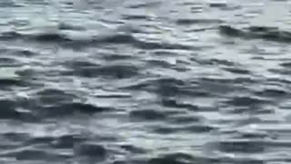 Lake Tahoe underwater graveyard