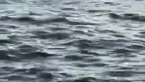 Lake Tahoe underwater graveyard