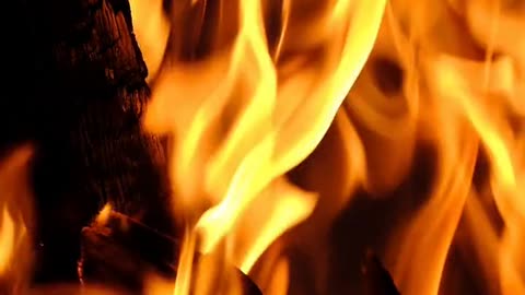 Daily Horoscope | Aries 🌟