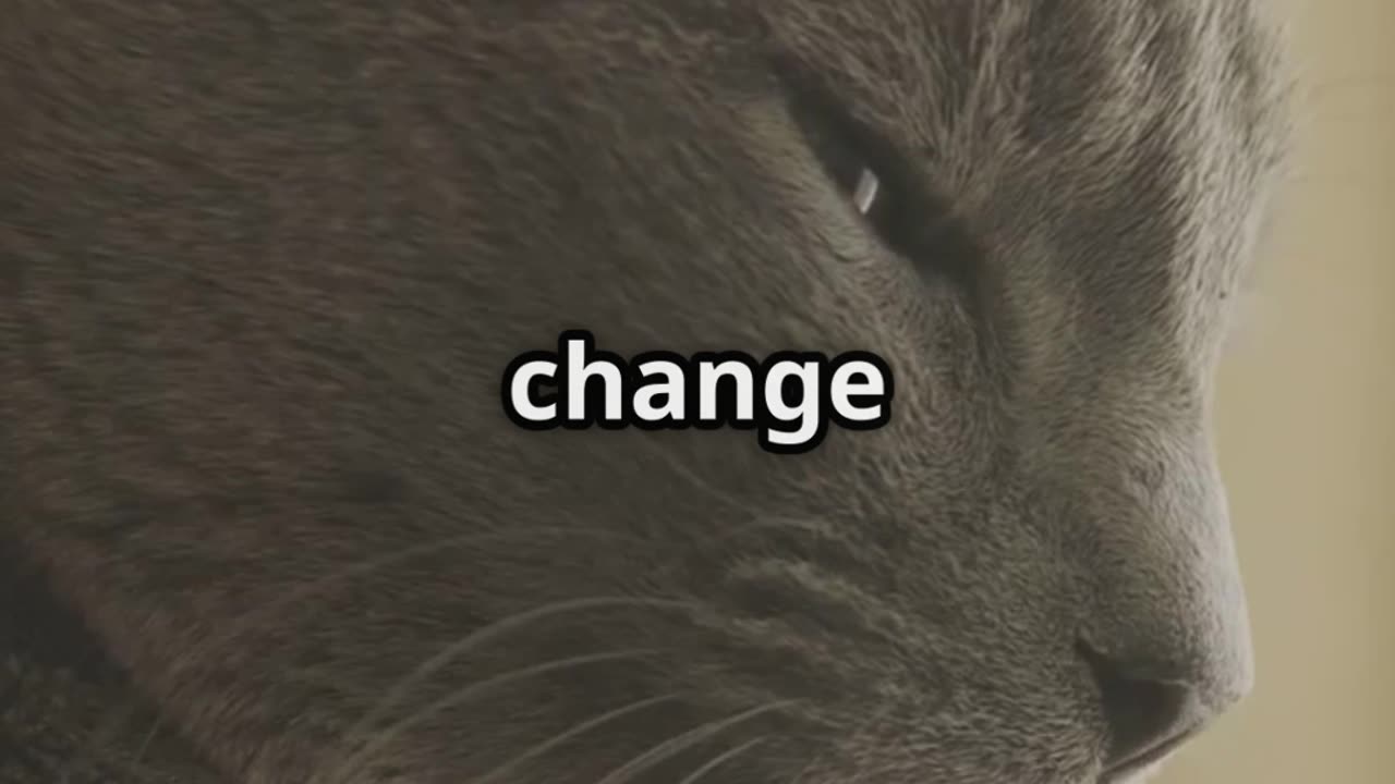 Unlocking the Secret Personalities of Cats! 🐱