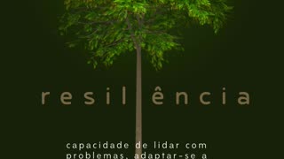 boa tarde