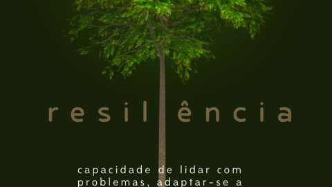 boa tarde