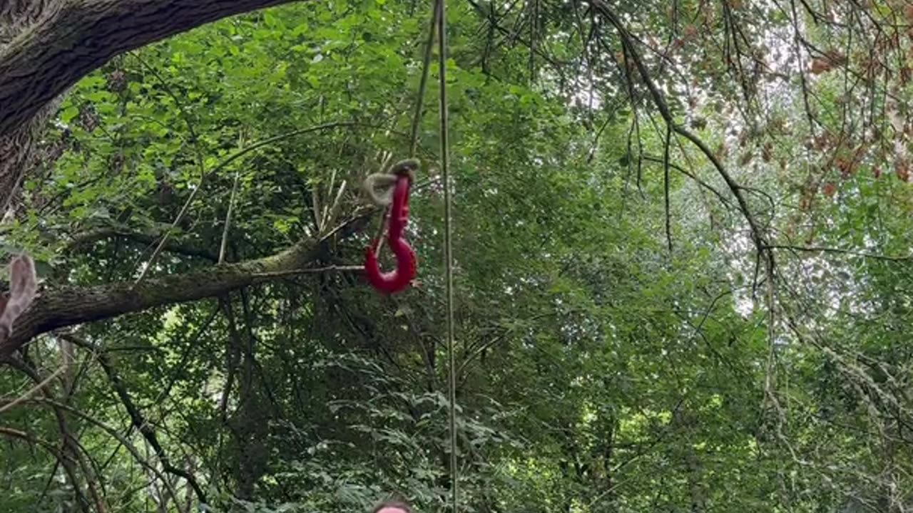 Man Shows Off Impressive Knot Skills