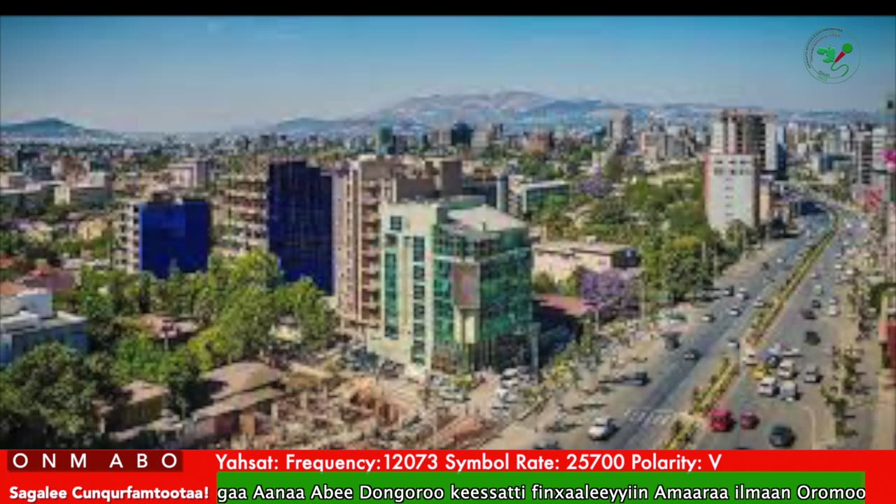 Oduu Ganama ONM-ABO Hagayya 28-2025 itti dhiyaadhaa!