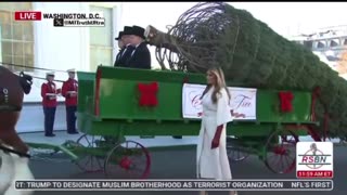 Melania receives the White House Christmas Tree