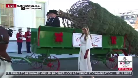 Melania receives the White House Christmas Tree